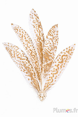 Oca testa - Arabesque - 15-20 cm - bianco-dorato